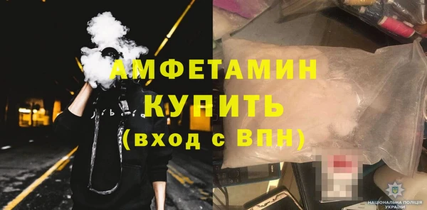 прущие грибы Елабуга