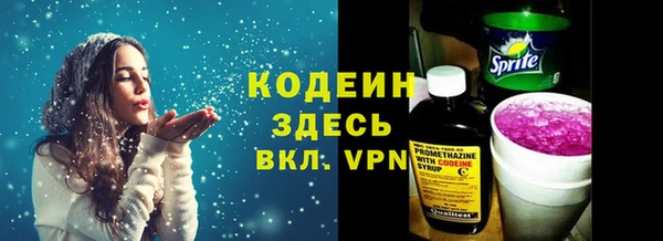 прущие грибы Елабуга
