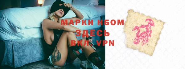 прущие грибы Елабуга