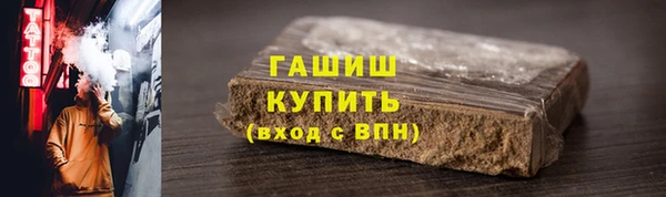 прущие грибы Елабуга