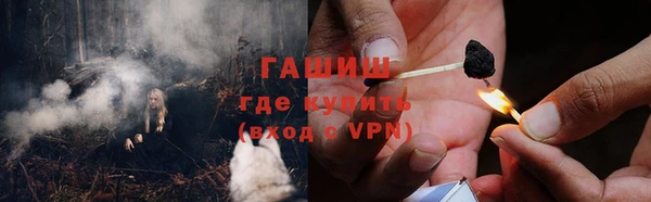прущие грибы Елабуга