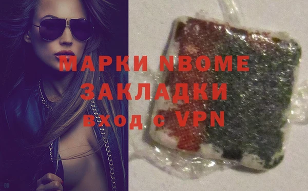 прущие грибы Елабуга