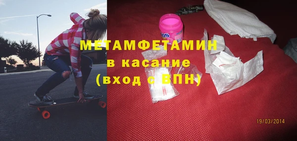 прущие грибы Елабуга