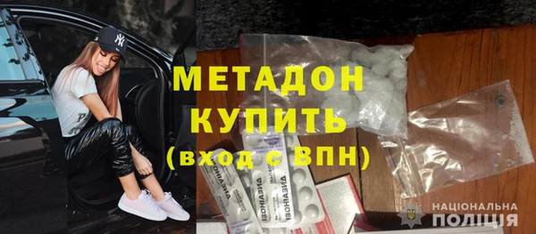 прущие грибы Елабуга