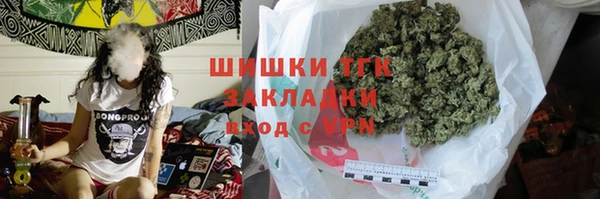 прущие грибы Елабуга