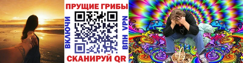 Купить  Аргун  Галлюциногенные грибы прущие грибы 